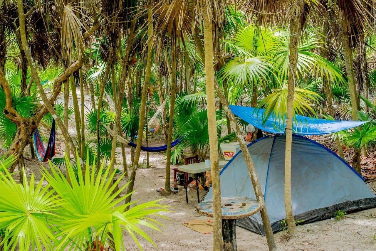 Camping Revolucion Pancho Luxury tent *